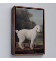 Çerçeveli George Stubbs Beyaz Kaniş Tablo (Beyaz)