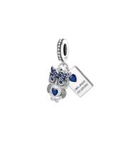 Her Zaman Okuyorum Baykuş Charm  925 Ayar Gümüş