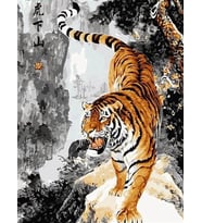 Bengal Kaplanı Sayılarla Boyama Seti 50x65 cm (Tuvale Gerili)