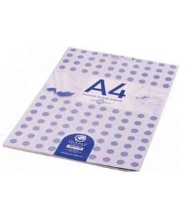 Gülpaş Teknik Resim Defteri A4 30 Yaprak