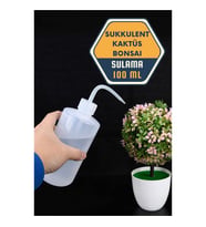 Sukkulent Kaktüs Bonsai Sulama Şişesi