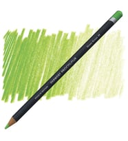 Derwent Procolour Kuru Boya Kalemi 49 GRASS GREEN 