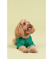 Salya Store Köpek Tshirt Pou Serisi - Camping 0-30kg  Köpek Kıyafeti KK-101 (Yeşil)