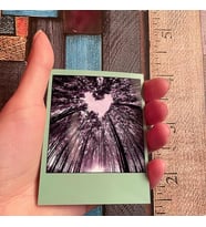 POLAROİD FOTOĞRAF 12 ADET RENKLİ