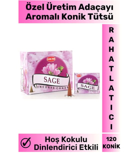 Rahatlatıcı Arındırıcı İyileştirici Ev Ofis Meditasyon Yoga Chakra Pozitif Enerji 120 Konik Tütsü