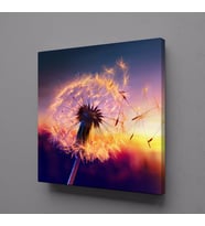 KARAHİNDİBA ÇİÇEĞİ UÇAN YAPRAKKLAR KANVAS TABLO 110x110cm (Karışık)