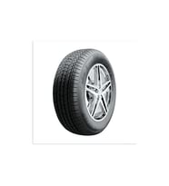 255/50R19 107Y XL 701 RIKEN (Y24) *