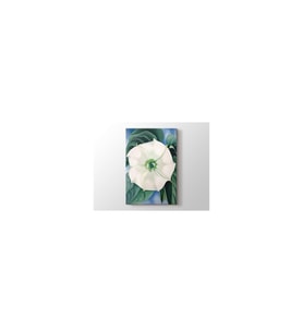 Georgia Okeeffe - White Flower No1 Tablo 50 X 70 Cm