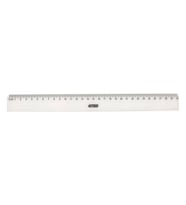 Bigpoint Plastik Cetvel 30 cm x 24 Adet