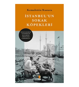 İstanbul’un Sokak Köpekleri