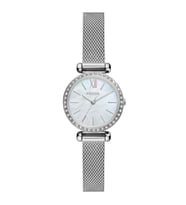 FOSSIL FBQ3896 HASIR KORDON TAŞLI KADIN KOL SAATİ (Gümüş)