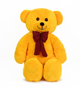 Pandamkee 80 Cm Sevgiliye Özel Hediyelik Ayı (Sarı)