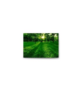DBSanatevi Ormandaki Güneş Tablo 40 X 60 Cm