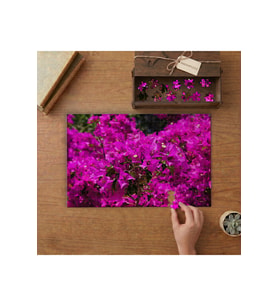 Begonvil Çiçekleri Tasarımı 240 parça Ahşap Puzzle Ahşap Kutuda MP07095