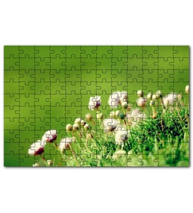 Cakapuzzle Otların Arasında Yeni Açan Çiçekler Puzzle Yapboz MDF (Ahşap) (120 Parça)