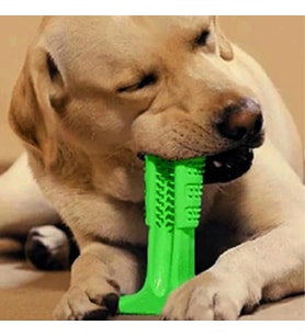 Evgereçlerim Köpek Diş Temizleyici Oyuncak Küçük