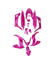 Honda Pcx 2021 - 2024 Uyumlu Komple Kaporta Seti Florasan Pembe