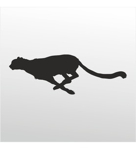 Folyo Sticker Çita 80cm Uzunluk (Karışık)