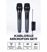 Profesyonel Çiftli Kablosuz Mikrofon Seti Karaoke Şarj Edilebilir 50 Metre