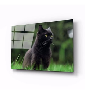 İdealizbiz Kedi Hayvan Cam Tablo 4mm Dayanıklı Temperli Cam