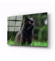 İdealizbiz Kedi Hayvan Cam Tablo 4mm Dayanıklı Temperli Cam