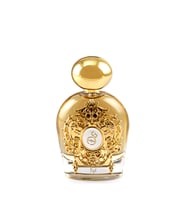 Tiziana Terenzi Tyl Assoluto EDP 100 Ml Unisex Parfüm