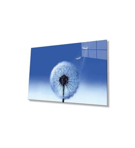 Manzara Cam Tablo 4mm Dayanıklı Temperli Cam, Glass Wall Decor (Çok Renkli)