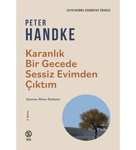 Karanlık Bir Gecede Sessiz Evimden Çıktım