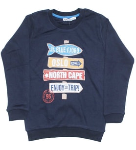 Erkek Çocuk North Cape Baskılı Tek Üst Sweat