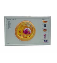 HÜCRE KESİTİ  (KABARTMA LEVHA)