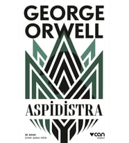 Aspidistra