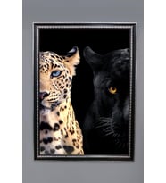 Jaguar ve Leopar Desenli Dijital Baskılı Kadife Kumaş Çerçeveli Tablo TBL0063 (Çok Renkli)