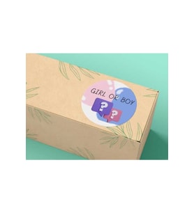 Girl Or Boy Sticker Cinsiyet Partisi Yuvarlak Mat Etiket Baby Shower Serisi 4 Cm (40 Adet)