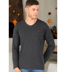T8587 DEWBERRY V YAKA ERKEK UZUN KOL T-SHIRT-ANTRASİT-2