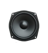 13 cm Çıplak Hoparlör 4.5" - PW-13.1 (Siyah)