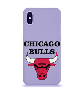 Apple iPhone XS Uyumlu Lansman Kılıf Chicago Bulls Tasarımlı Altı Kapalı İçi Kadife Kaplı  Kapak (Şeffaf)