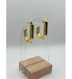 Arnes Jewelry Çelik Gold Küpe
