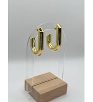 Arnes Jewelry Çelik Gold Küpe