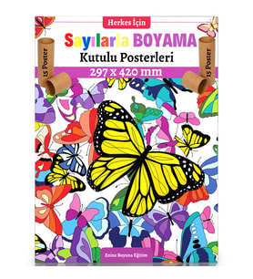 Sayılarla Boyama Posterleri (Kutulu 15 POSTER)