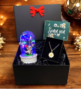 Siyah Kutusunda Renkli Led Işıklı Fanus ve Tasarım Kolye, Premium Hediye Seti (Model 5)