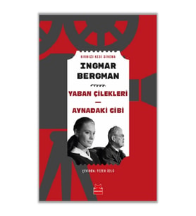 Yaban Çilekleri - Aynadaki Gibi