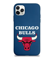Apple iPhone 11 Pro Uyumlu Lansman Kılıf Chicago Bulls Tasarımlı Altı Kapalı İçi Kadife Kaplı  Kapak (Şeffaf)