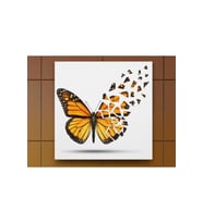 DBSanatevi Kanadı Kırık Kelebek Tablo 70 X 70 Cm