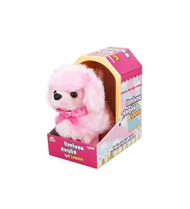 Sunman Sevimli Köpek Poodle
