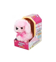Sunman Sevimli Köpek Poodle