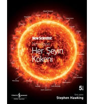 Neredeyse Her Şeyin Kökeni