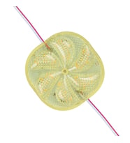 Powermaster PM-14708 12 Volt 3 Watt Sarı Sabit 6565-2835 Modül Led 65X65x12mm