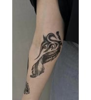Caş Dekorasyon Tüy Ve Gül Figürlü Geçici Dövme Tattoo