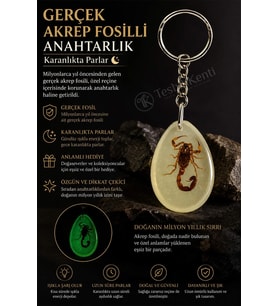 Yeşil Renk Akrep Fosilli Anahtarlık Model 3