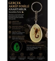 Yeşil Renk Akrep Fosilli Anahtarlık Model 3